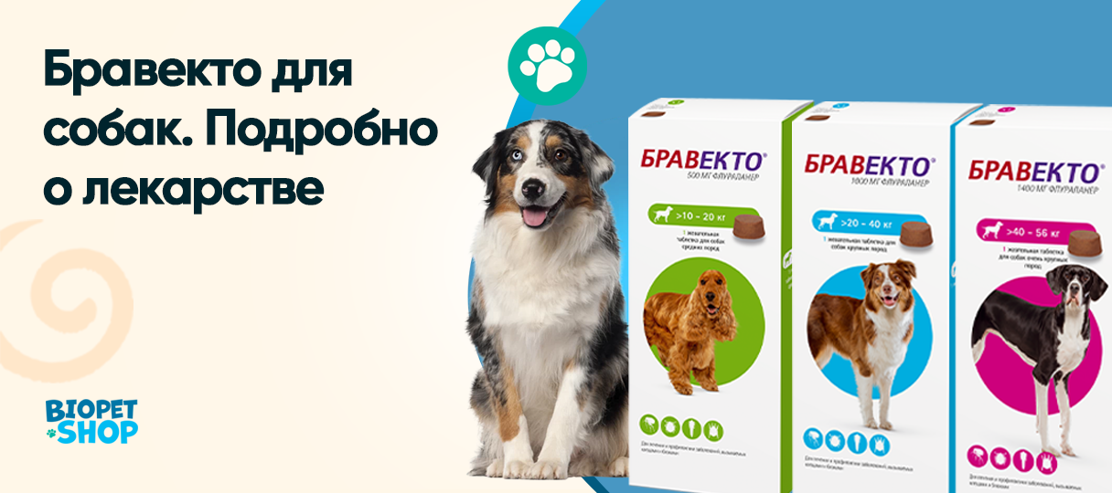 Бравекто для собак. Подробно о лекарстве