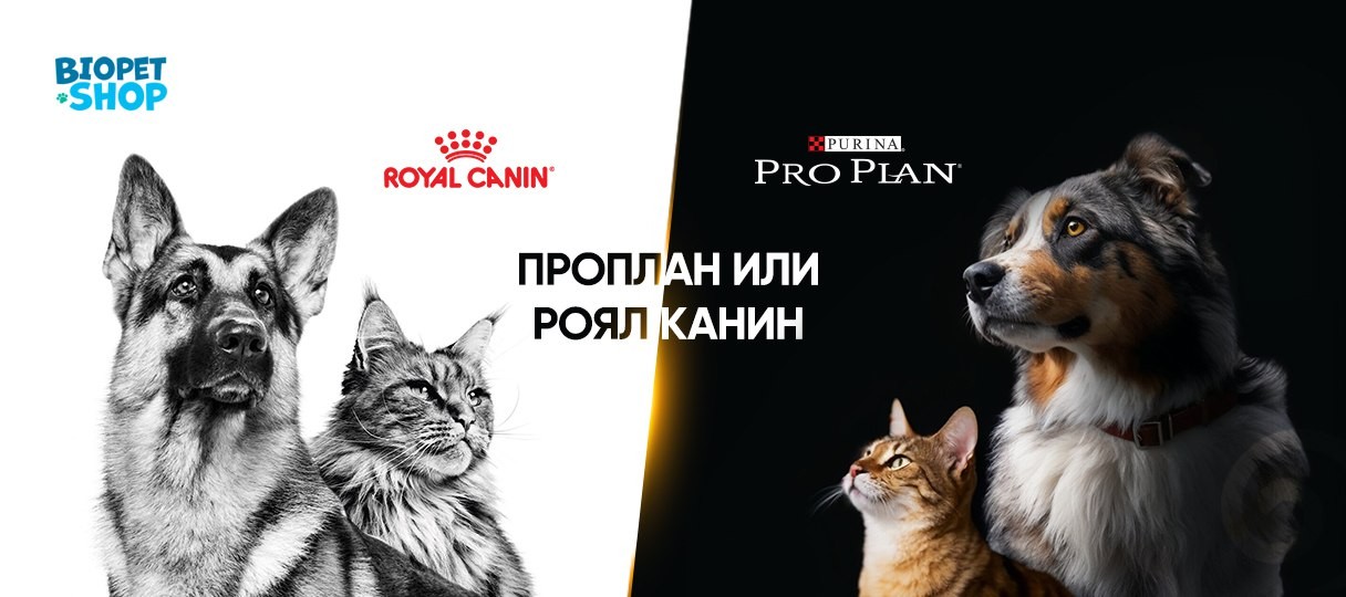 Сравнение кормов: Проплан или Роял Канин — что выбрать?