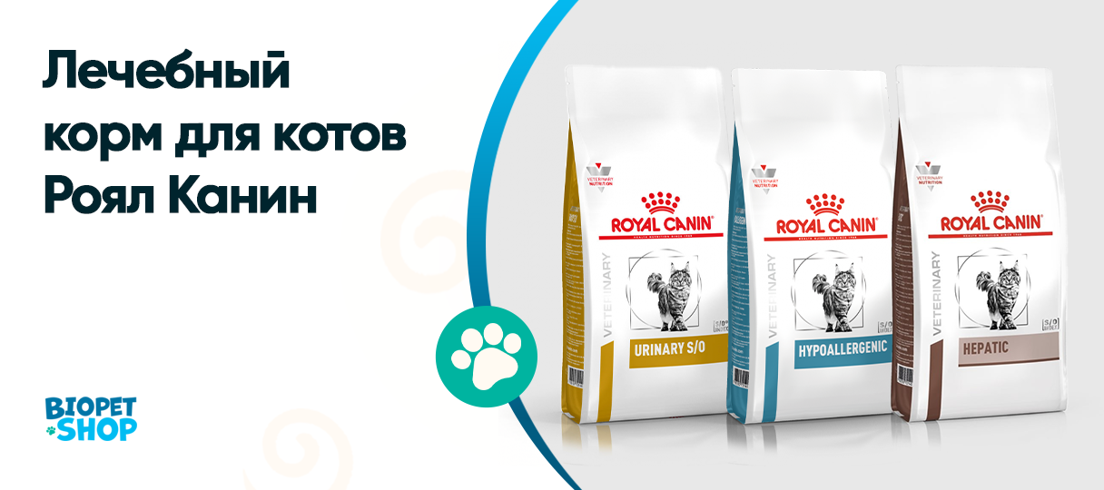 Лечебный корм для котов Роял Канин: забота о здоровье вашего питомца