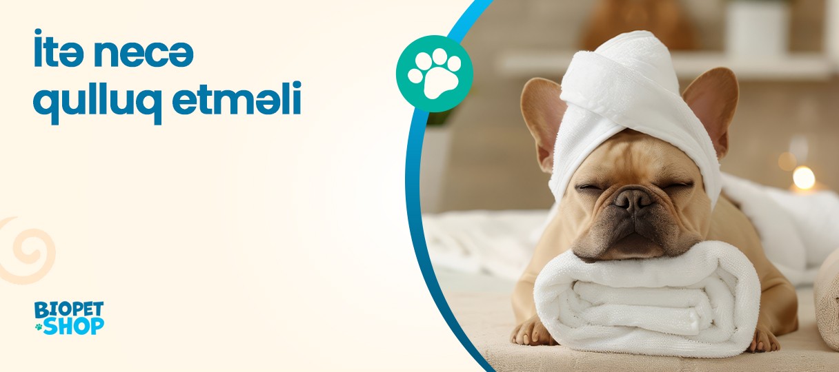 İtə necə qulluq etməli?