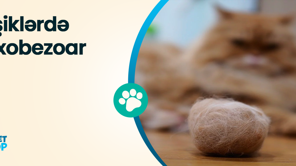 Erkaklar shaffof ichki kiyimlari 18 ta haqiqiy jinsiy olatni Porno kokrak va sut