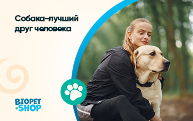 Собака—лучший друг человека