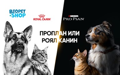 Сравнение кормов: Проплан или Роял Канин — что выбрать?
