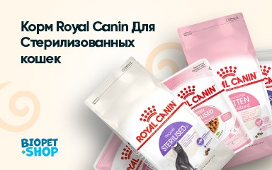 Корм Royal Canin Для Стерилизованных Кошек: Как Выбрать Правильный Рацион