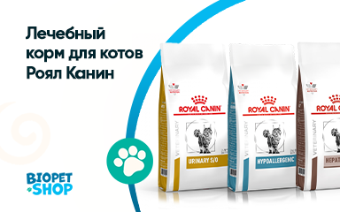 Лечебный корм для котов Роял Канин: забота о здоровье вашего питомца
