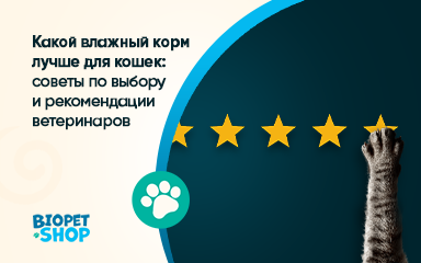 Какой влажный корм лучше для кошек: советы по выбору и рекомендации ветеринаров