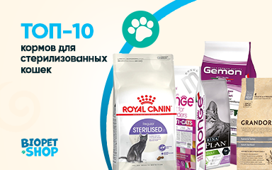 Топ кормов для стерилизованных кошек: лучшие варианты для здорового рациона