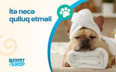 İtə necə qulluq etməli?