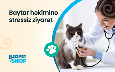 Baytar həkiminə ziyarət zamanı stresi necə azaltmalı?