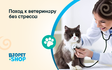 Как снизить стресс во время посещения ветеринара?