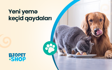 Ev heyvanını yeni yemə necə keçirməli