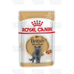 Royal Canin British Shorthair Adult Yetkin qısatüklü ingilis pişiyi üçün nəm yem, 85 q