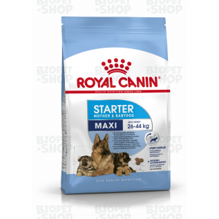 Royal Canin Maxi Starter Mother & Babydog Böyük cins hamilə, südverən it və bala it üçün quru yem (15 kq)