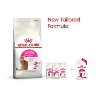Royal Canin Savour Exigent Dada qarşı kaprizli pişik üçün quru yem (10 kq)
