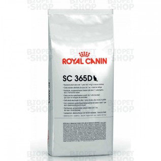 Royal Canin SC365D Pişik üçün quru yem, 1 yaşdan (15 kq)