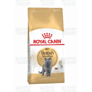 Royal Canin British Shorthair Adult Qısatüklü ingilis yetkin pişik üçün quru yem (kq)