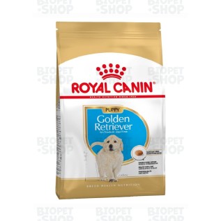 Royal Canin Golden Retriever Puppy Qızılı retriver bala it üçün quru yem (kq)