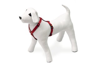 Beeztees Karlie Asp + İtlər üçün neylon sinə qayışı, qırmızı, 25-40 sm