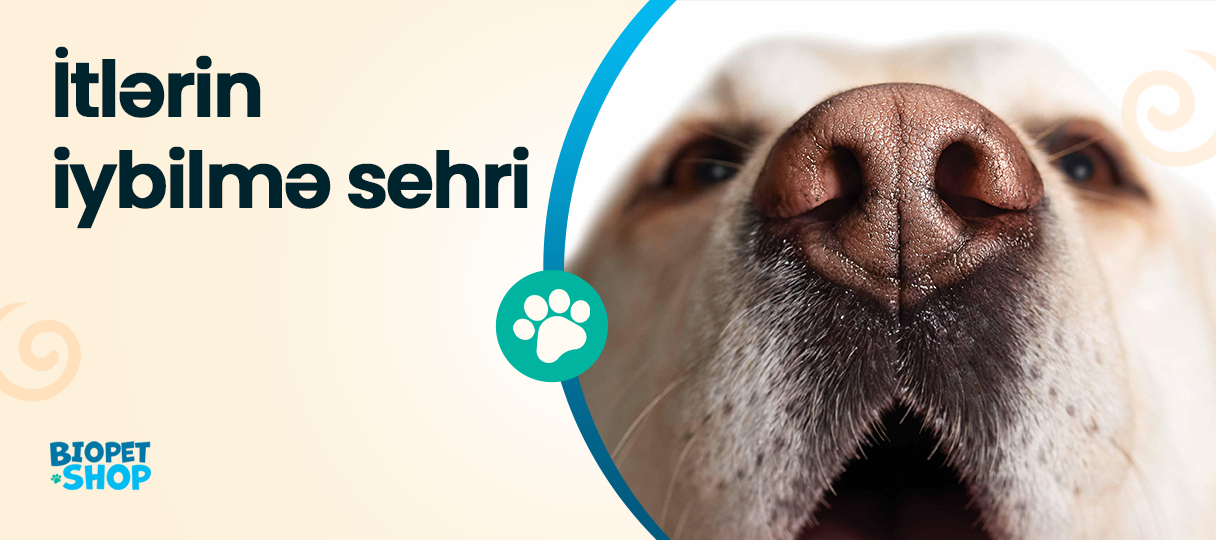 Егде жастағы әйелдердің порносын көру